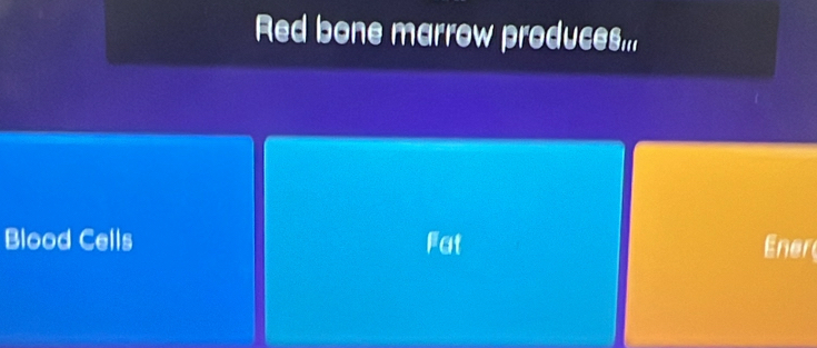 Red bone marrow produces... 
Blood Cells Fat Ener