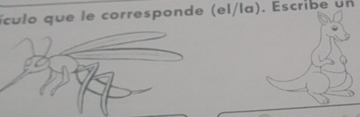 ículo que le corresponde (el/la). Escribe un