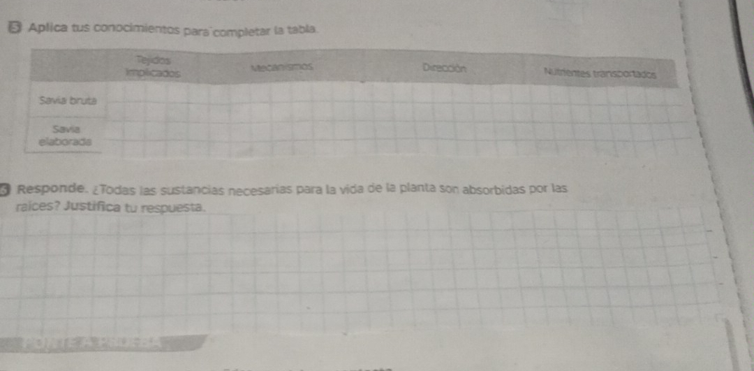 DAplica tus conpcimientos para completar la tabla. 
Responde. ¿Todas las sustancias necesarías para la vida de la planta son absorbidas por las 
raices? Justifica tu respuesta.