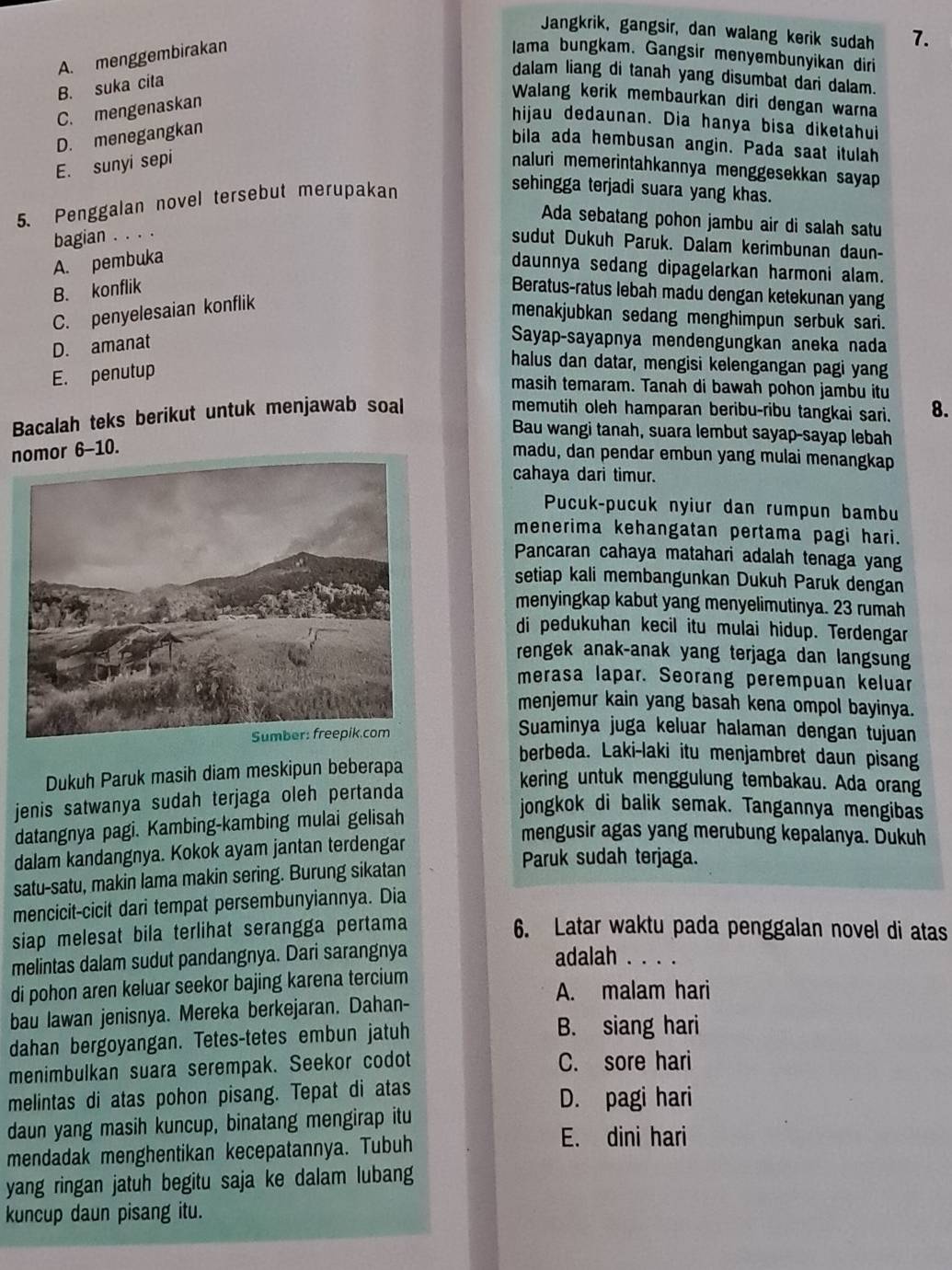 Jangkrik, gangsir, dan walang kerik sudah 7.
A. menggembirakan lama bungkam. Gangsir menyembunyikan diri
B. suka cita
dalam liang di tanah yang disumbat dari dalam.
C. mengenaskan
Walang kerik membaurkan diri dengan warna
hijau dedaunan. Dia hanya bisa diketahui
D. menegangkan
bila ada hembusan angin. Pada saat itulah
E. sunyi sepi
naluri memerintahkannya menggesekkan sayap 
5. Penggalan novel tersebut merupakan
sehingga terjadi suara yang khas.
Ada sebatang pohon jambu air di salah satu
bagian . . . 
sudut Dukuh Paruk. Dalam kerimbunan daun-
A. pembuka
daunnya sedang dipagelarkan harmoni alam.
B. konflik Beratus-ratus lebah madu dengan ketekunan yang
C. penyelesaian konflik
menakjubkan sedang menghimpun serbuk sari.
D. amanat
Sayap-sayapnya mendengungkan aneka nada
E. penutup
halus dan datar, mengisi kelengangan pagi yang
masih temaram. Tanah di bawah pohon jambu itu
Bacalah teks berikut untuk menjawab soal memutih oleh hamparan beribu-ribu tangkai sari. 8.
Bau wangi tanah, suara lembut sayap-sayap lebah
nomor 6-10.
madu, dan pendar embun yang mulai menangkap
cahaya dari timur.
Pucuk-pucuk nyiur dan rumpun bambu
menerima kehangatan pertama pagi hari.
Pancaran cahaya matahari adalah tenaga yang
setiap kali membangunkan Dukuh Paruk dengan
menyingkap kabut yang menyelimutinya. 23 rumah
di pedukuhan kecil itu mulai hidup. Terdengar
rengek anak-anak yang terjaga dan langsung
merasa lapar. Seorang perempuan keluar
menjemur kain yang basah kena ompol bayinya.
Suaminya juga keluar halaman dengan tujuan
berbeda. Laki-laki itu menjambret daun pisang
Dukuh Paruk masih diam meskipun beberapa
jenis satwanya sudah terjaga oleh pertanda
kering untuk menggulung tembakau. Ada orang
datangnya pagi. Kambing-kambing mulai gelisah
jongkok di balik semak. Tangannya mengibas
mengusir agas yang merubung kepalanya. Dukuh
dalam kandangnya. Kokok ayam jantan terdengar Paruk sudah terjaga.
satu-satu, makin lama makin sering. Burung sikatan
mencicit-cicit dari tempat persembunyiannya. Dia
siap melesat bila terlihat serangga pertama 6. Latar waktu pada penggalan novel di atas
melintas dalam sudut pandangnya. Dari sarangnya
adalah . . . .
di pohon aren keluar seekor bajing karena tercium A. malam hari
bau lawan jenisnya. Mereka berkejaran. Dahan-
dahan bergoyangan. Tetes-tetes embun jatuh
B. siang hari
menimbulkan suara serempak. Seekor codot C. sore hari
melintas di atas pohon pisang. Tepat di atas D. pagi hari
daun yang masih kuncup, binatang mengirap itu
mendadak menghentikan kecepatannya. Tubuh
E. dini hari
yang ringan jatuh begitu saja ke dalam lubang
kuncup daun pisang itu.