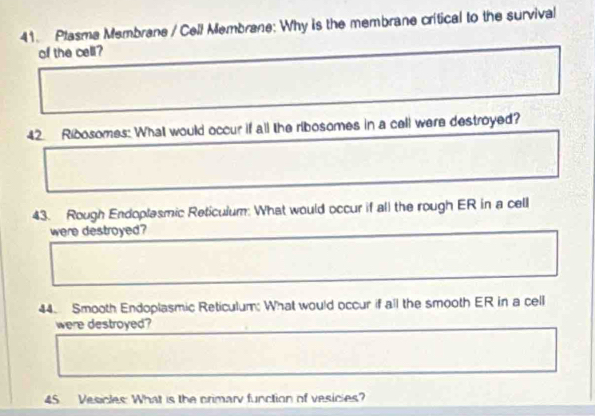 Plasme Membrane / Cell Membrane: Why is the membrane critical to the survival 
of the cell? 
42. Ribosomes: What would occur if all the ribosomes in a cell were destroyed? 
43. Rough Endoplasmic Reticulum: What would occur if all the rough ER in a cell 
were destroyed? 
44. Smooth Endoplasmic Reticulum; What would occur if all the smooth ER in a cell 
were destroyed? 
45 Vesicles: What is the crimary function of vesicies?