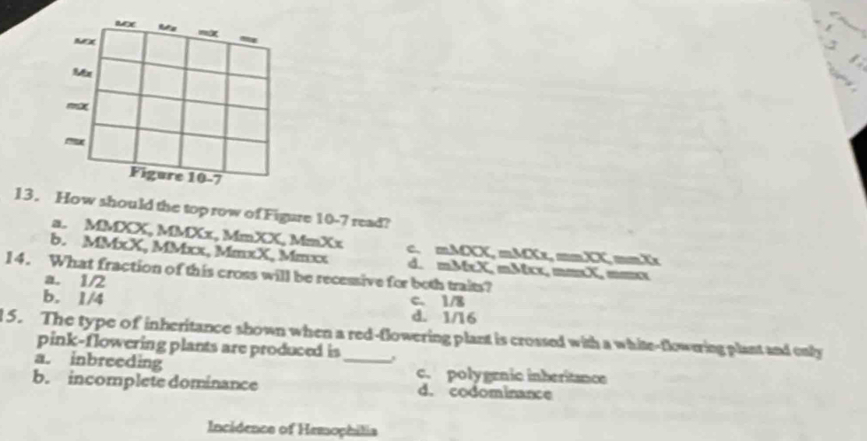 Refes
már
Figure 10-7
13. How should the top row of Figure 10-7 read?
a. MMXX, MMXx, MmXX, MmXx C.
b. MMxX, MMxx, MmxX, Mmxx d. mMX, mMX, mXx, mX, mMXmMX x, m=X, ==x
=-xx 
14. What fraction of this cross will be recessive for both traits?
a. 1/2
b. 1/4 c. 1/8
d. 1/16
l 5. The type of inheritance shown when a red-flowering plant is crossed with a white-flowering plant and only
pink-flowering plants are produced is
a. inbreeding c. polygenic inberitance
b. incompletedominance d. codominance
Incidence of Hemophilia