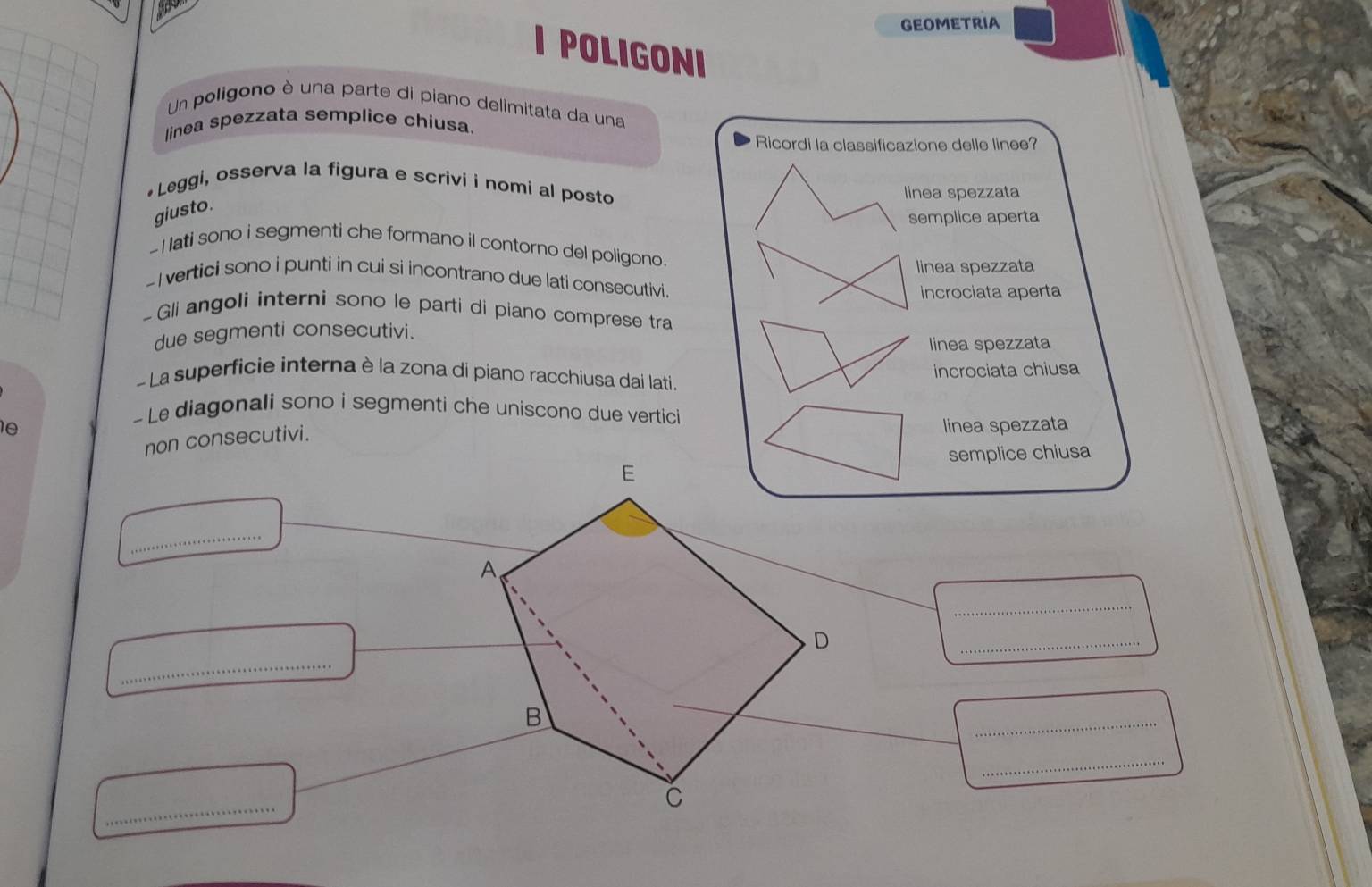 GEOMETRIA
I POLIGONI
Un poligono è una parte di piano delimitata da una
linea spezzata semplice chiusa.
Ricordi la classificazione delle linee?
•Leggi, osserva la figura e scrivi i nomi al posto
linea spezzata
giusto.
semplice aperta
- I ati sono i segmenti che formano il contorno del poligono.
linea spezzata
- Ivertici sono i punti in cui si incontrano due lati consecutivi.
incrociata aperta
- Gli angoli interni sono le parti di piano comprese tra
due segmenti consecutivi.
linea spezzata
- La superficie interna è la zona di piano racchiusa dai lati.
incrociata chiusa
- Le diagonali sono i segmenti che uniscono due vertici
e linea spezzata
non consecutivi.
semplice chiusa
E
_
A.
_
_
D
_
B
_
_
_
C