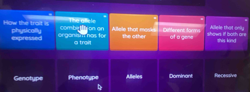 =
How the trait is The allele
combir ron an Allele that masks Different forms Allele that only
physically organism has for the other of a gene shows if both are
expressed this kind
a trait
Genotype Phenotype Alleles Dominant Recessive