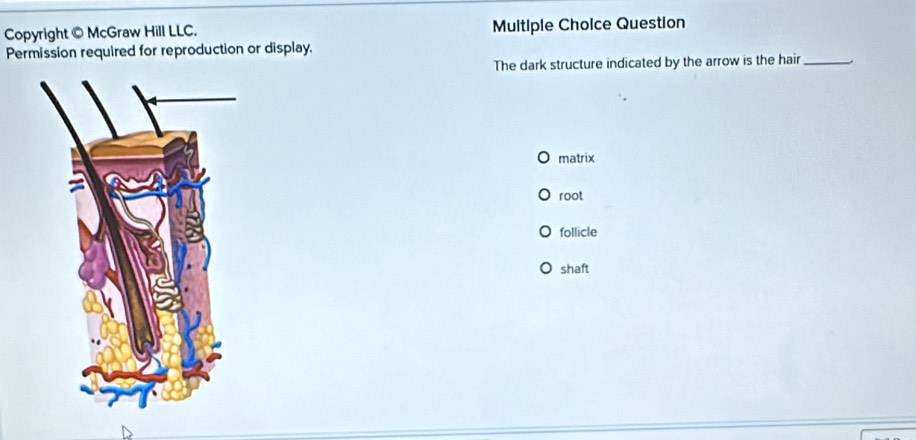 Copyright © McGraw Hill LLC. Multiple Choice Question
Permission required for reproduction or display.
The dark structure indicated by the arrow is the hair_
matrix
root
follicle
shaft