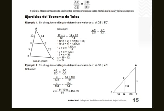 frac overline ACoverline CE=frac overline BDoverline DF
Figura 5. Representación de segmentos correspondientes sobre rectas paralelas y rectas secantes 
Ejercicios del Teorema de Tales 
Ejemplo 1. En el siguiente triángulo determina el valor de x, ,si overline DE||overline BC. 
Solución:  AB/AD = AC/AE 
 (12+x)/12 = (14+28)/14 
14(12+x)=12(14+28)
14(12+x)=12(42)
12+x= 12(42)/14 
12+x=12(3)
12+x=36
x=36-12
x=24
Ejemplo 2. En el siguiente triángulo determina el valor de x, si overline EDparallel overline AB
Solución:  AB/ED = BC/CD 
 x/134 = (54+130)/54 
 x/134 = 164/54 
x= 184(134)/54 =456.59
CORACHBC Calegia de Bachiferes del Bstudo de Buja Colifornia 15