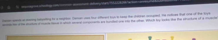 Daman spends an evening babysitting for a neighbor. Damian uses four different toys to keep the children occupied. He notices that one of the toys 
rmnds him of the structure of muscle tissue in which several components are bundled one into the other. Which toy looks like the structure of a muscle