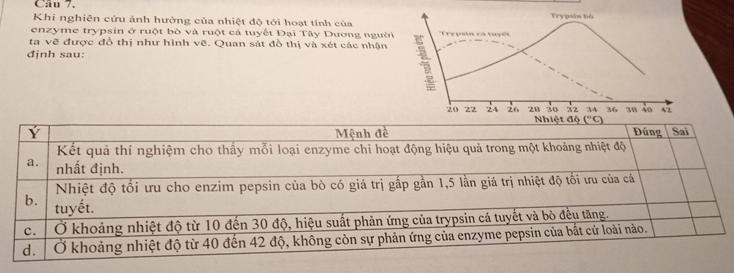 Cầu 7.
Khi nghiên cứu ảnh hưởng của nhiệt độ tới hoạt tính của Trypsin bò
enzyme trypsin ở ruột bò và ruột cá tuyết Đại Tây Dương người Trypsin cá tuyết
ta vẽ được đồ thị như hình vẽ. Quan sát đồ thị và xét các nhận
định sau:
20 22 24 26 28 30 32 34 36 38 40 42