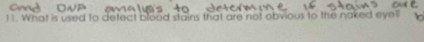 What is used to detect blood stains that are not obvious to the naked eye?