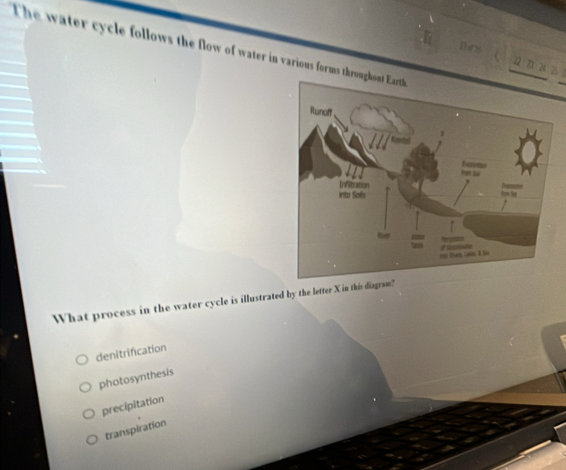 The water cycle follows the flow of water in various forms through
What process in the water cycle is illustrated by the letter X in this diagr
denitrification
photosynthesis
precipitation
transpiration