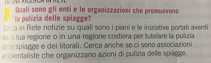 fai uña Rícerca in rete 
Quali sono gli enti e le organizzazioni che promuovono 
la pulizia delle spiagge? 
Cerca in Rete notizie su quali sono i piani e le iniziative portati avanti 
ne ta tua regione o in una regione costiera per tutelare la pulizia 
delle spiagge e dei litorali. Cerca anche se ci sono associazioni 
ambientaliste che organizzano azioni di pulizia delle spiagge.