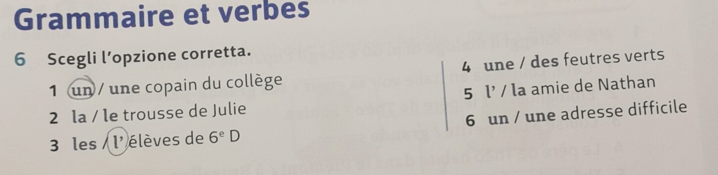 Grammaire et verbes 
6 Scegli l’opzione corretta. 
1 un / une copain du collège 4 une / des feutres verts 
5 l'
2 la / le trousse de Julie / la amie de Nathan 
6 un / une adresse difficile 
3 les / l' élèves de 6^eD