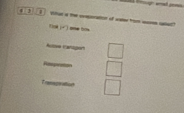 es mrough small pors
@ 2 2 」 What is the eveporation of water from leases called?
1 one box.
Active tanispon
Resperation
in aspiration