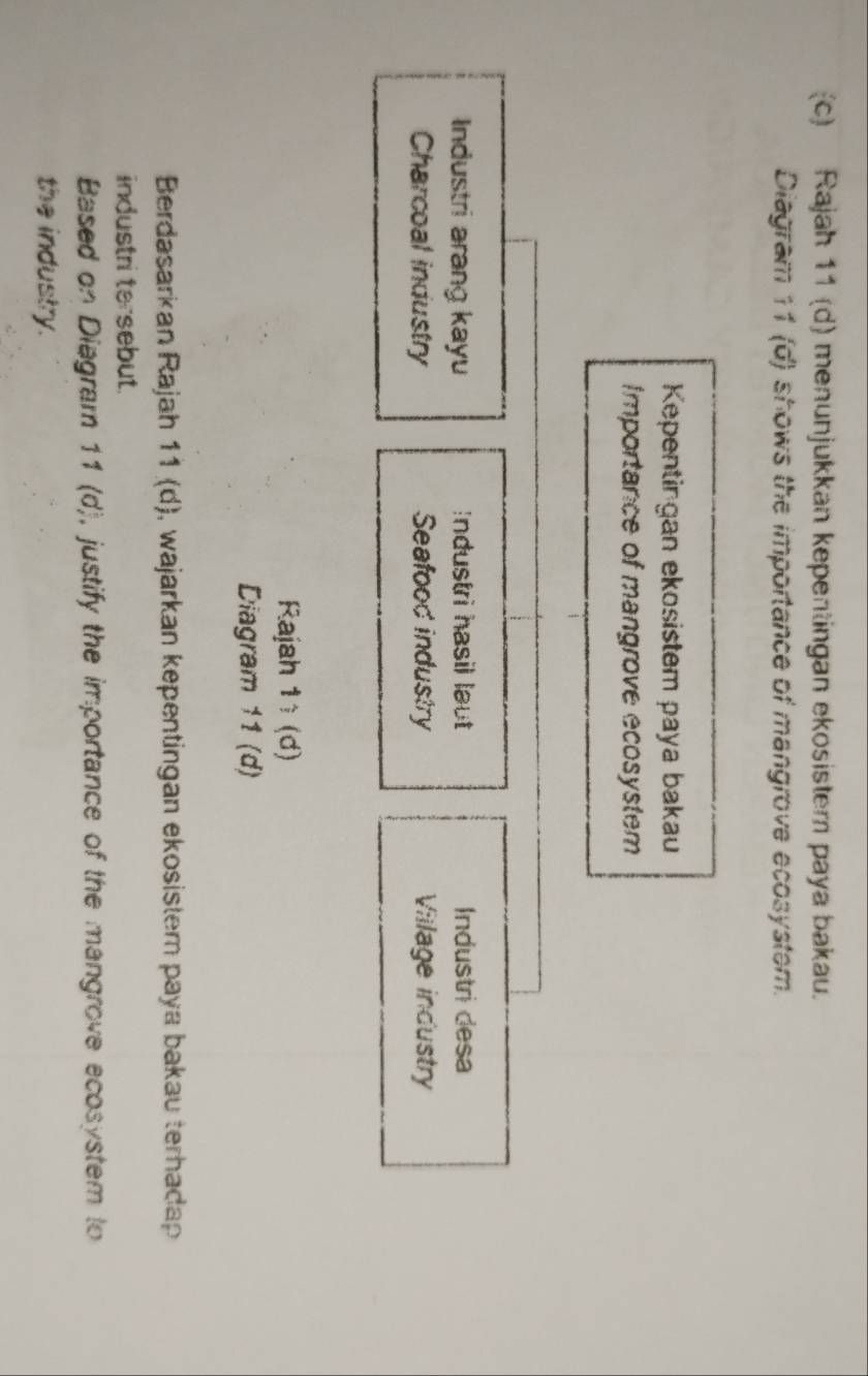 Rajah 11 (d) menunjukkan kepentingan ekosistern paya bakau.
Diagram 11 (d) shows the importance of mangrove ecosystem.
Kepentingan ekosistem paya bakau
Importance of mangrove ecosystem
Industri arang kayu Industri hasil laut Industri desa
Charcoal industry Seafood industry Viilage industry
Rajah 1 (d)
Diagram 11 (d)
Berdasarkan Rajah 11 (d), wajarkan kepentingan ekosistem paya bakau terhadap
industri tersebut.
Based on Diagram 11 (d), justify the importance of the mangrove ecosystem to
the industry.