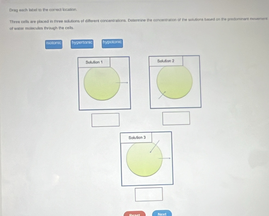 Drag each label to the correct location. 
Three cells are placed in three solutions of different concentrations. Determine the concentration of the solutions based on the predominant movement 
of water malecules through the cells. 
rsotonic hypertonic hypotonic 
Solution 1 Solution 2 
Solutian 3 
Resor Next