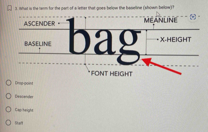 Solved: What is the term for the part of a letter that goes below the ...