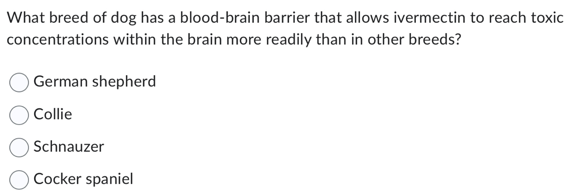Solved: What breed of dog has a blood-brain barrier that allows ...