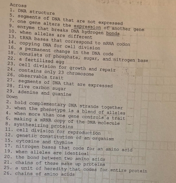 Across 1. DNA structure 
5. segments of DNA that are not expressed 
7. one gene alters the expression of another gene 
9. enzyme that breaks DNA hydrogen bonds 
10. when alleles are different 
13. tRNA bases that correspond to mRNA codon 
14. copying DNA for cell division 
16. a permanent change in the DNA code 
18. consists of phosphate, sugar, and nitrogen base 
22. a fertilized egg 
23, cell division for growth and repair 
24. contains only 23 chromosome 
26. observable trait 
27. segments of DNA that are expressed 
28. five carbon sugar 
29. adenine and guanine 
Down 
2. hold complementary DNA strands together 
3. when the phenotype is a blend of alleles 
4. when more than one gene controls a trait 
6. making a mRNA copy of the DNA molecule 
8. synthesizing proteins 
11, cell division for reproduction 
12. genetic constitution of an organism 
15. cytosine and thymine 
17, nitrogen bases that code for an amino acid 
19. when alleles are identical 
20. the bond between two amino acids 
21. chains of these make up proteins 
25. a unit of heredity that codes for entire protein 
26. chains of amino acids