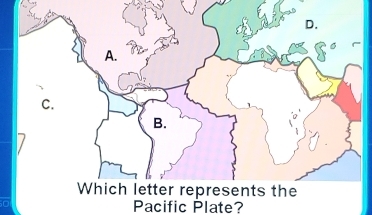 Pacific Plate?