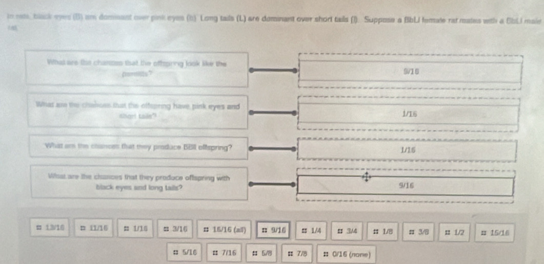 io ne, black eyes (B) am domant over pink eyes (b) Long tails (L) are dominant over short tails (I). Suppose a BbLI femate rat mates with a SbLI male
What are the chanses that the offpiring look like the
pamits? 9/16
What are the chaboes that the offepring have pink eyes and
shor! tails? 1/16
What am the coances that they produce BBI offspring? 1/16
Wisat are the chances that they produce oftspring with
black eyes and long tails 9/16
1318 □ i1/16 = 1/10 = 3/1 () #： 15/16 (a/) : 9/16 ss 1/4 # 3/4 :; 1/8; 3/8 x 1/2 x 15/16
: 5/16 :: 7/16 : 5/8 : 7/8 # 0/16 (none)