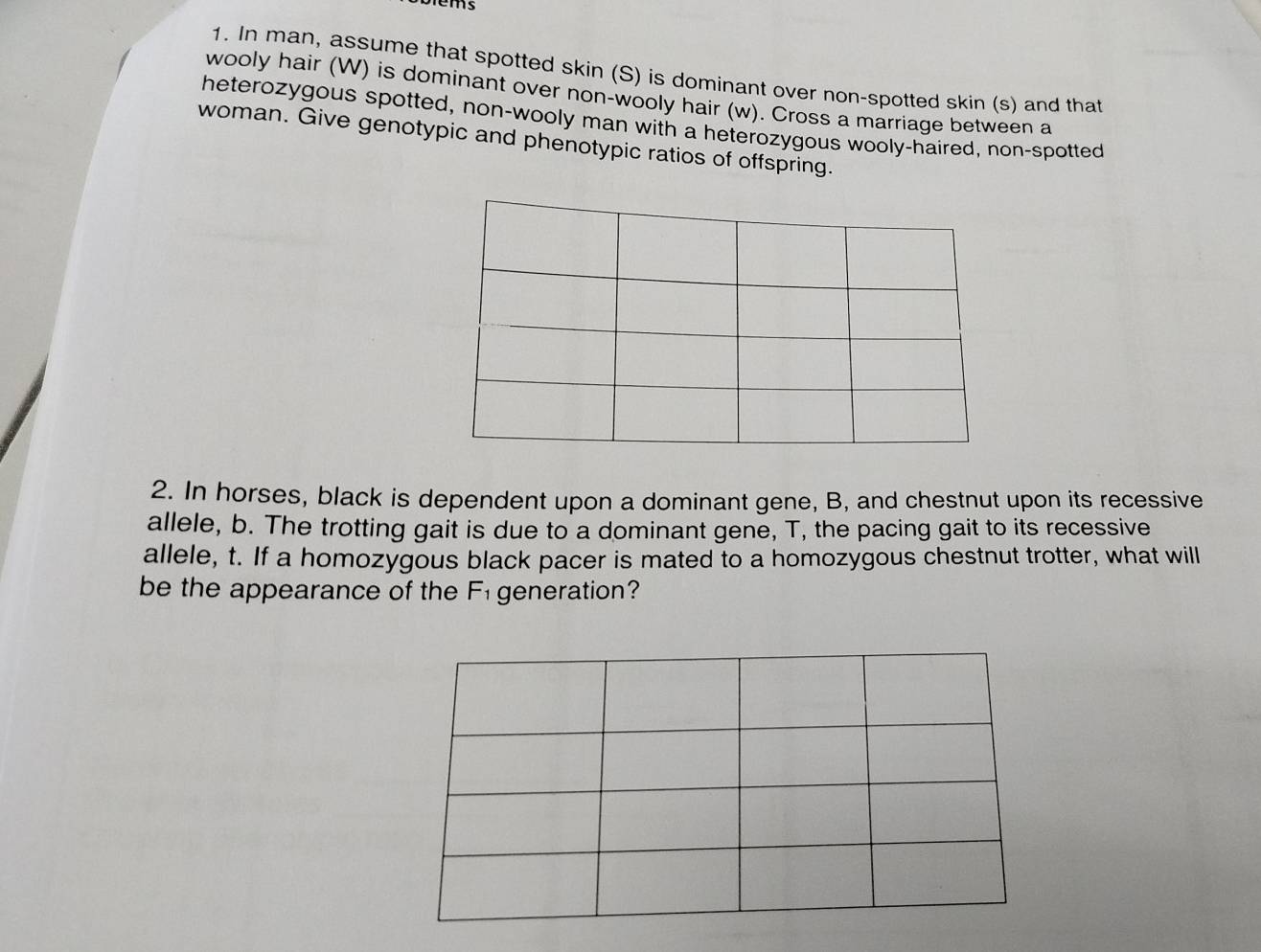 In man, assume that spotted skin (S) is dominant over non-spotted skin (s) and that 
wooly hair (W) is dominant over non-wooly hair (w). Cross a marriage between a 
heterozygous spotted, non-wooly man with a heterozygous wooly-haired, non-spotted 
woman. Give genotypic and phenotypic ratios of offspring. 
2. In horses, black is dependent upon a dominant gene, B, and chestnut upon its recessive 
allele, b. The trotting gait is due to a dominant gene, T, the pacing gait to its recessive 
allele, t. If a homozygous black pacer is mated to a homozygous chestnut trotter, what will 
be the appearance of the F_1 generation?