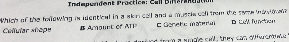 Independent Practice: Cell Differentiation
Which of the-following is identical in a skin cell and a muscle cell from the same individual?
Cellular shape B Amount of ATP C Genetic material D Cell function
ad from a single cell, they can differentiate