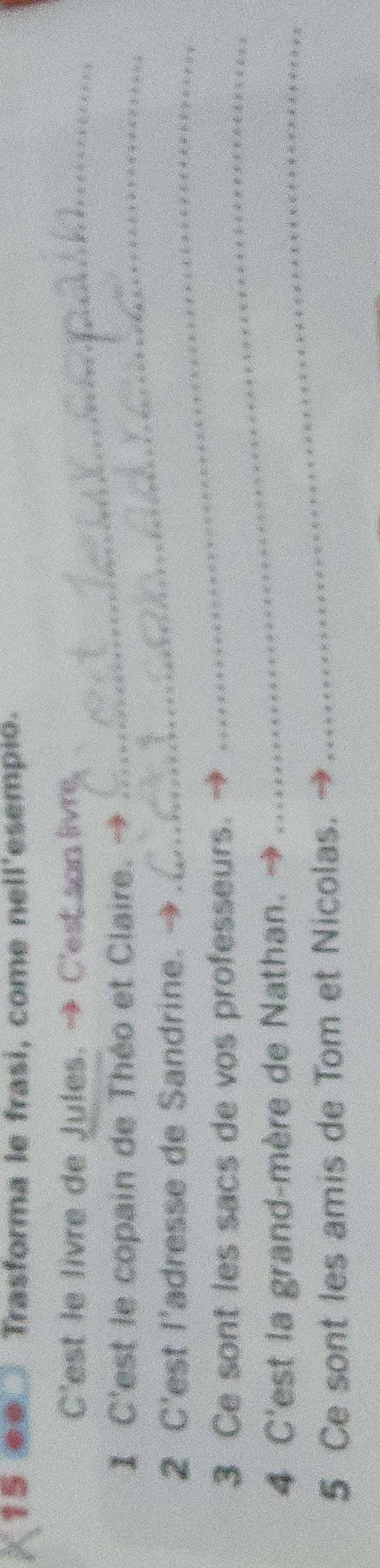 Trasforma le frasi, come nell'esempio. 
C'est le livre de Jules. → C'est son livre, 
I C'est le copain de Théo et Claire. 
2 C'est l’adresse de Sandrine._ 
_ 
3 Ce sont les sacs de vos professeurs. 
_ 
4 C'est la grand-mère de Nathan. 
5 Ce sont les amis de Tom et Nicolas.