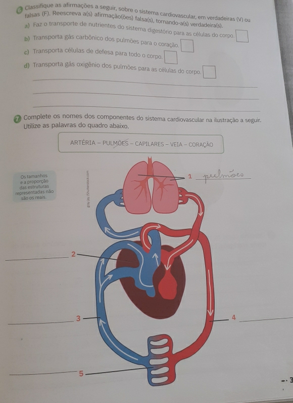 Classifique as afirmações a seguir, sobre o sistema cardiovascular, em verdadeiras (V) ou 
falsas (F), Reescreva a(s) afirmação(ões) falsa(s), tornando-a(s) verdadeira(s). 
a) Faz o transporte de nutrientes do sistema digestório para as células do corpo □ 
b) Transporta gás carbônico dos pulmões para o coração. □ 
c) Transporta células de defesa para todo o corpo. □ 
_ 
d) Transporta gás oxigênio dos pulmões para as células do corpo. □ 
_ 
_ 
Complete os nomes dos componentes do sistema cardiovascular na ilustração a seguir. 
Utilize as palavras do quadro abaixo. 
ARTÉRIA - PULMÕES - CAPILARES - VEIA - CORAÇÃO 
Os tamanhos 
e a proporção 
das estruturas 
represent 
são os reais 
_ 
_
- 3