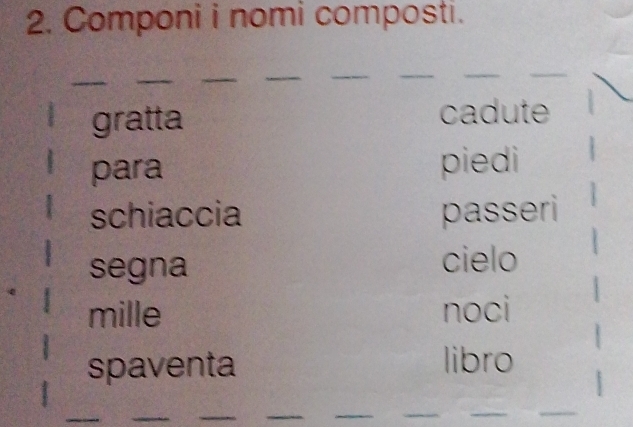 Componi i nomi composti. 
_ 
_ 
_ 
_ 
_ 
gratta cadute 
para piedi 
schiaccia passeri 
segna 
cielo 
mille noci 
spaventa libro 
_ 
_