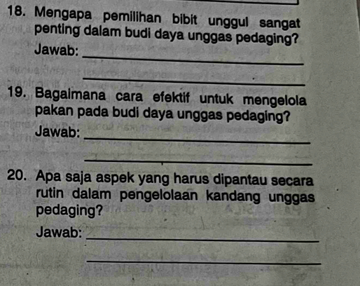 Mengapa pemilihan bibit unggul sangat 
penting dalam budi daya unggas pedaging? 
_ 
Jawab: 
_ 
19. Bagaimana cara efektif untuk mengelola 
pakan pada budi daya unggas pedaging? 
_ 
Jawab: 
_ 
20. Apa saja aspek yang harus dipantau secara 
rutin dalam pengelolaan kandang unggas 
pedaging? 
_ 
Jawab: 
_