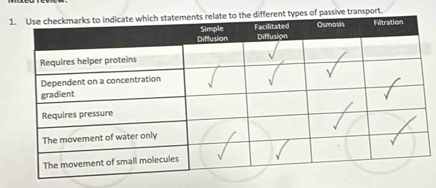 ypes of passive transport.