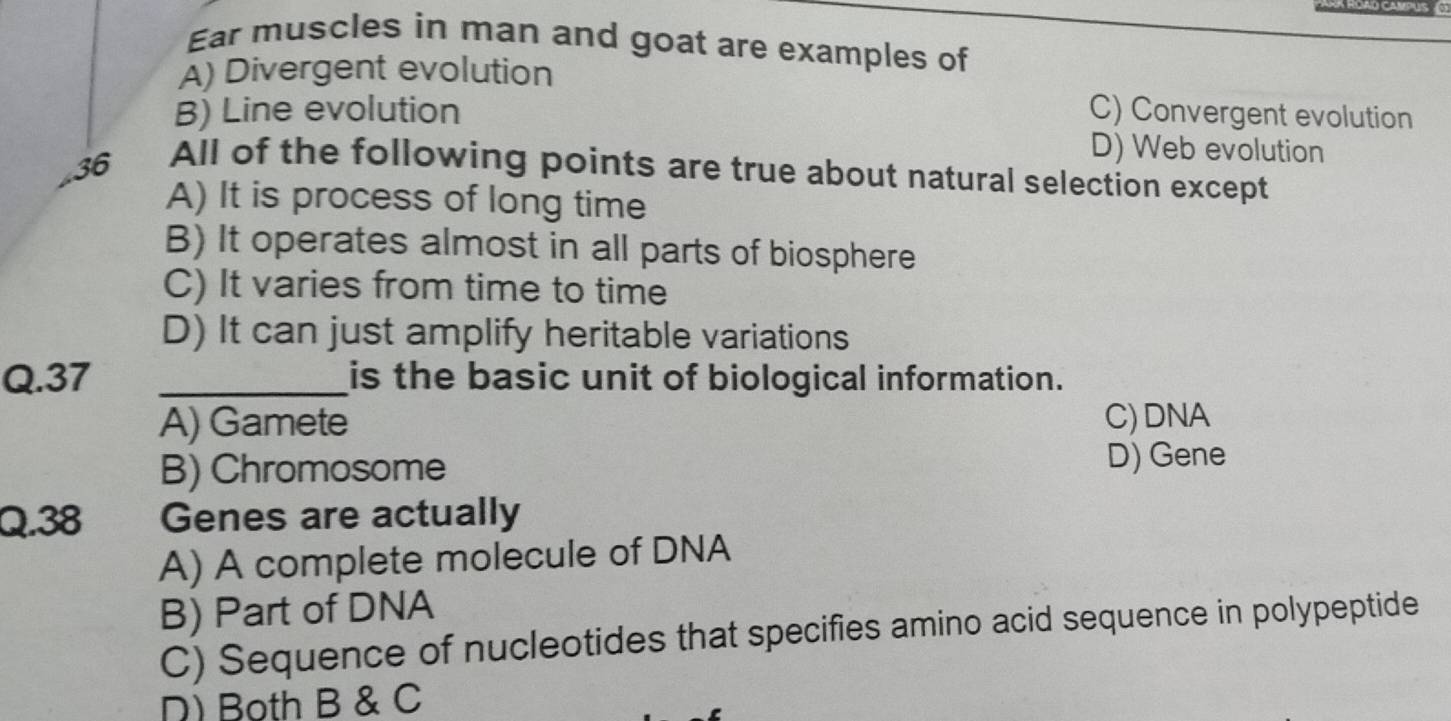 what is divergent evolution convergent evolution and co evolution 74044, image size:1451x721