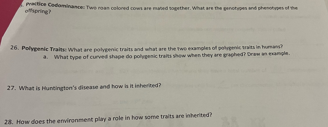 Practice Codominance: Two roan colored cows are mated together. What are the genotypes and phenotypes of the 
offspring? 
26. Polygenic Traits: What are polygenic traits and what are the two examples of polygenic traits in humans? 
a. What type of curved shape do polygenic traits show when they are graphed? Draw an example. 
27. What is Huntington’s disease and how is it inherited? 
28. How does the environment play a role in how some traits are inherited?