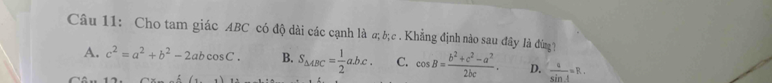 Cho tam giác ABC có độ dài các cạnh là a; b; c. Khẳng định nào sau đây là đùng ?
A. c^2=a^2+b^2-2abcos C. B. S_△ ABC= 1/2 a.b.c. C. cos B= (b^2+c^2-a^2)/2bc . D.  a/sin A =R.