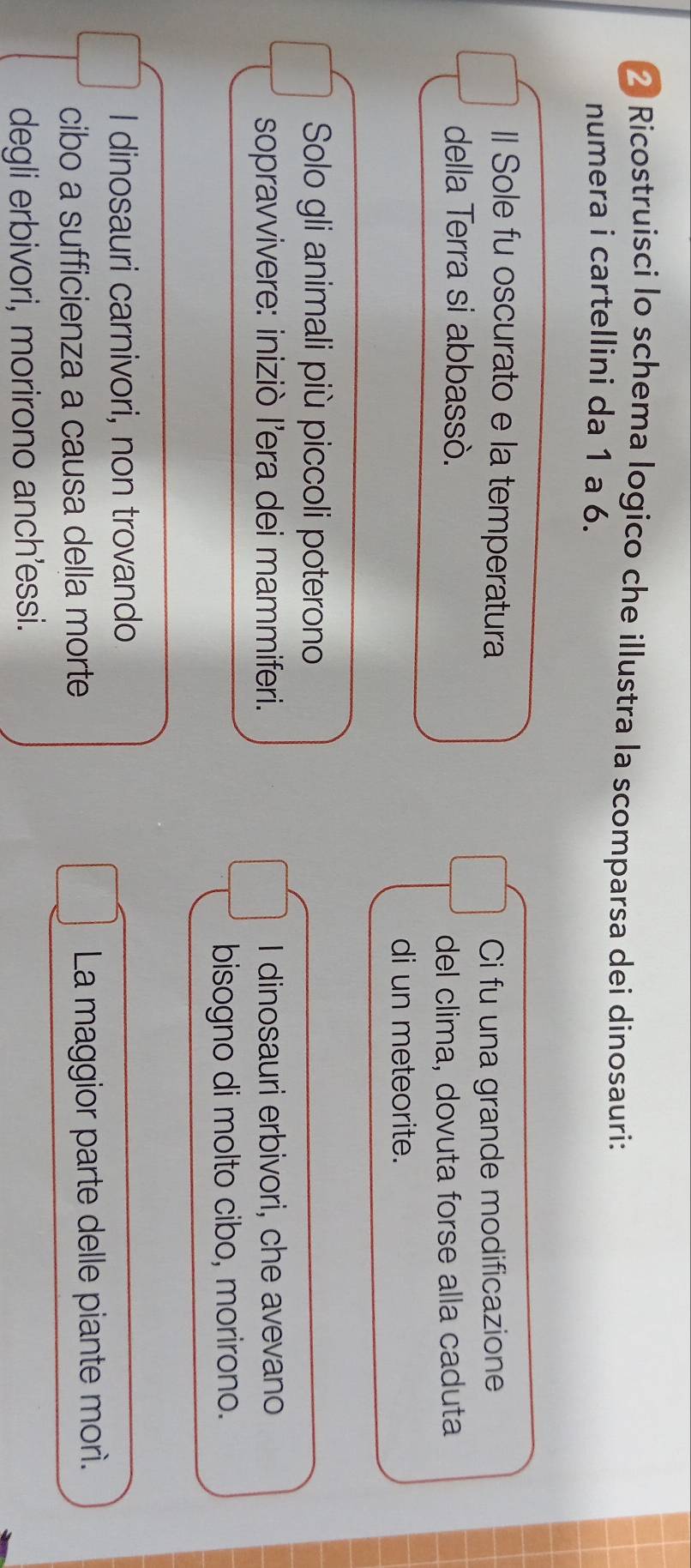 Ricostruisci lo schema logico che illustra la scomparsa dei dinosauri:
numera i cartellini da 1 a 6.
Il Sole fu oscurato e la temperatura
Ci fu una grande modificazione
della Terra si abbassò.
del clima, dovuta forse alla caduta
di un meteorite.
Solo gli animali più piccoli poterono
sopravvivere: iniziò l’era dei mammiferi. I dinosauri erbivori, che avevano
bisogno di molto cibo, morirono.
I dinosauri carnivori, non trovando
cibo a sufficienza a causa della morte La maggior parte delle piante mor.
degli erbivori, morirono anch'essi.