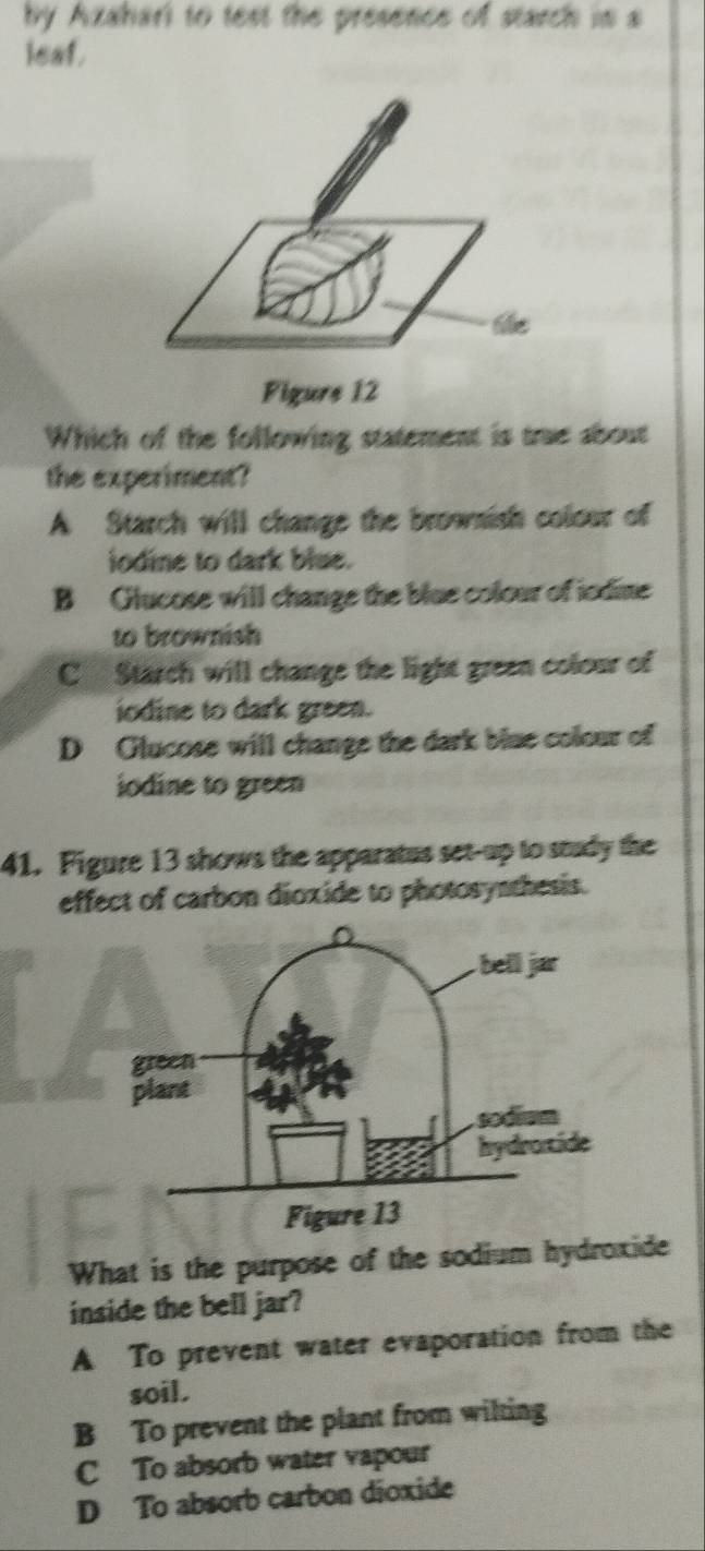 by Azahari to test the presence of starch in a
leaf.
Which of the following statement is true about
the experiment?
A Starch will change the brownish colour of
iodine to dark blue.
B Glucose will change the blue colour of iodine
to brownish
C Starch will change the light green colour of
iodine to dark green.
D Glucose will change the dark blue colour of
iodine to green
41. Figure 13 shows the apparatus set-up to study the
effect of carbon dioxide to photosynthesis.
What is the purpose of the sodium hydroxide
inside the bell jar?
A To prevent water evaporation from the
soil.
B To prevent the plant from wilting
C To absorb water vapour
D To absorb carbon dioxide