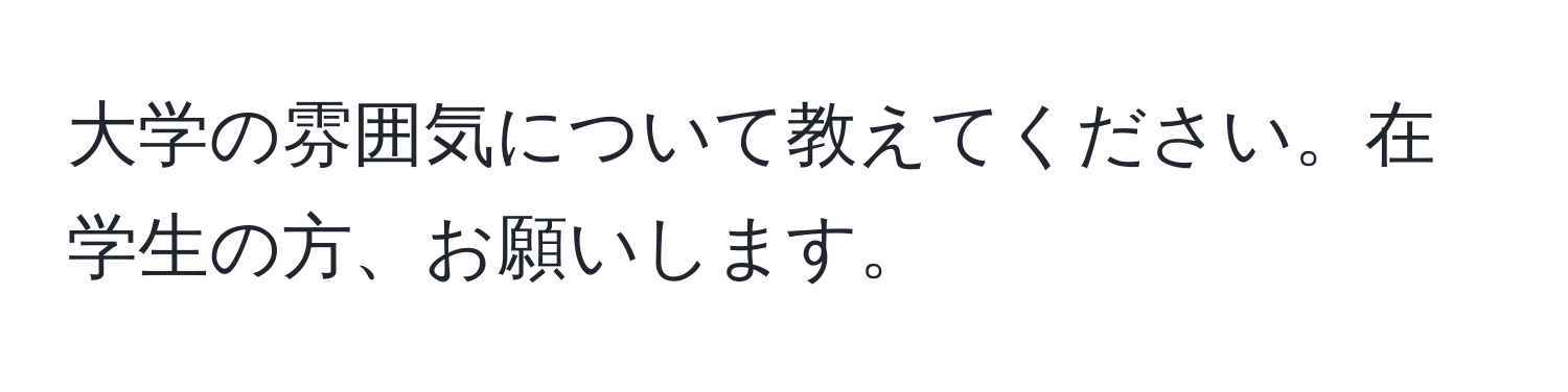 大学の雰囲気について教えてください。在学生の方、お願いします。