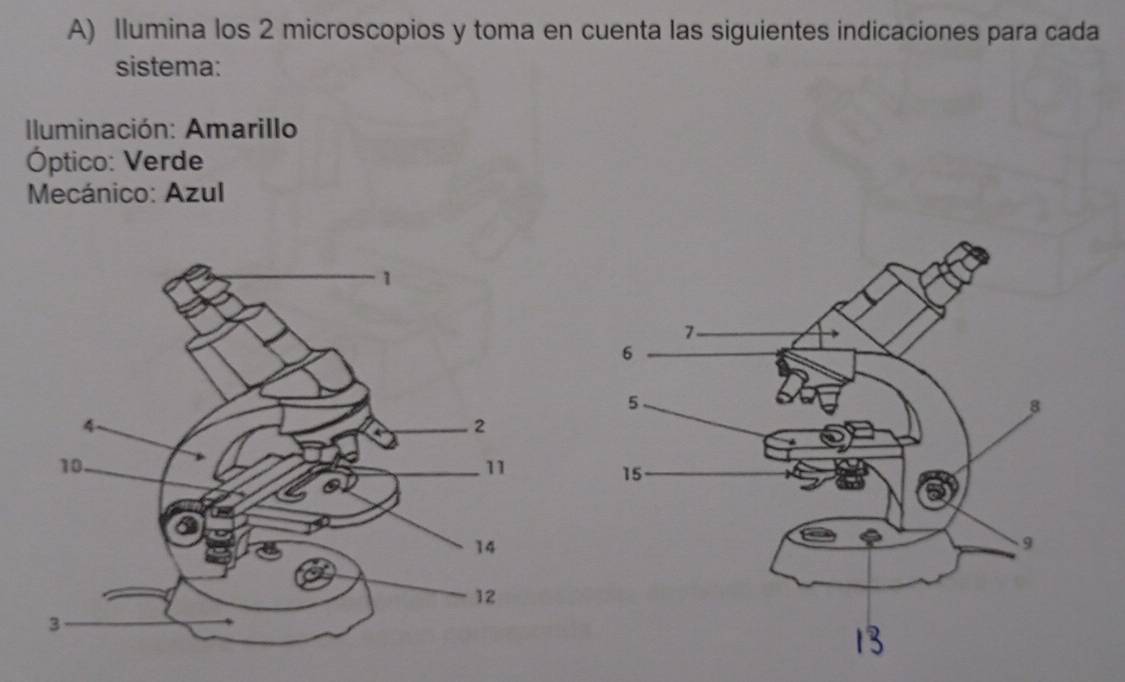 Ilumina los 2 microscopios y toma en cuenta las siguientes indicaciones para cada 
sistema: 
luminación: Amarillo 
Óptico: Verde 
Mecánico: Azul