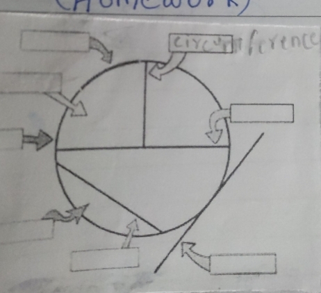 circumfirence