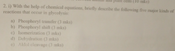 mai and plant cells (10 mks) 
2. i) With the help of chemical equations, briefly describe the following five major kinds of 
reactions that occur in glycolysis: 
a) Phosphoryl transfer (3 mks) 
b) Phosphoryl shift (3 mks) 
c) Isomerization (3 mks) 
d) Dehydration (3 mks) 
e) Aldol cleavage (3 mks)