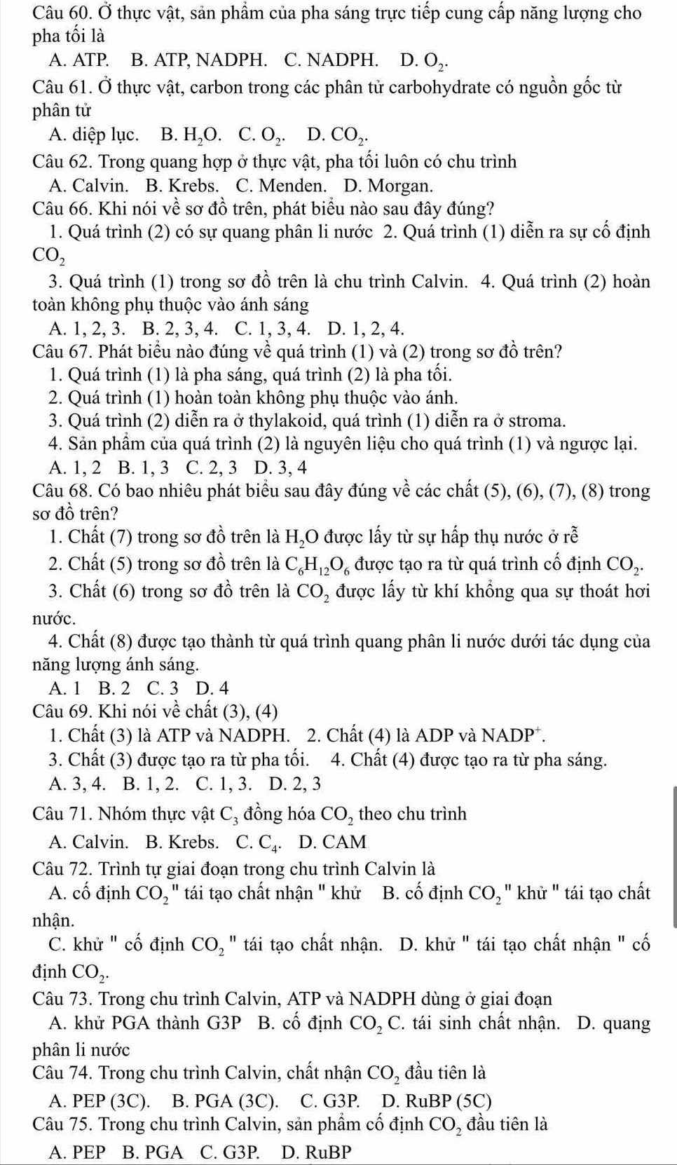 Ở thực vật, sản phẩm của pha sáng trực tiếp cung cấp năng lượng cho
pha tối là
A. ATP. B. ATP, NADPH. C. NADPH. D. O_2.
Câu 61. Ở thực vật, carbon trong các phân tử carbohydrate có nguồn gốc từ
phân tử
A. diệp lục. B. H_2O C. O_2. D. CO_2.
Câu 62. Trong quang hợp ở thực vật, pha tối luôn có chu trình
A. Calvin. B. Krebs. C. Menden. D. Morgan.
Câu 66. Khi nói về sơ đồ trên, phát biểu nào sau đây đúng?
1. Quá trình (2) có sự quang phân li nước 2. Quá trình (1) diễn ra sự cố định
CO_2
3. Quá trình (1) trong sơ đồ trên là chu trình Calvin. 4. Quá trình (2) hoàn
toàn không phụ thuộc vào ánh sáng
A. 1, 2, 3. B. 2, 3, 4. C. 1, 3, 4. D. 1, 2, 4.
Câu 67. Phát biểu nào đúng về quá trình (1) và (2) trong sơ đồ trên?
1. Quá trình (1) là pha sáng, quá trình (2) là pha tối.
2. Quá trình (1) hoàn toàn không phụ thuộc vào ánh.
3. Quá trình (2) diễn ra ở thylakoid, quá trình (1) diễn ra ở stroma.
4. Sản phẩm của quá trình (2) là nguyên liệu cho quá trình (1) và ngược lại.
A. 1, 2 B. 1, 3 C. 2, 3 D. 3, 4
Câu 68. Có bao nhiêu phát biểu sau đây đúng về các chất (5), (6), (7), (8) trong
sơ đồ trên?
1. Chất (7) trong sơ đồ trên là H_2O được lấy từ sự hấp thụ nước ở rễ
2. Chất (5) trong sơ đồ trên là C_6H_12O_6 được tạo ra từ quá trình cố định CO_2.
3. Chất (6) trong sơ đồ trên là CO_2 được lấy từ khí khổng qua sự thoát hơi
nước.
4. Chất (8) được tạo thành từ quá trình quang phân li nước dưới tác dụng của
năng lượng ánh sáng.
A. 1 B. 2 C. 3 D. 4
Câu 69. Khi nói về chất (3), (4)
1. Chất (3) là ATP và NADPH. 2. Chất (4) là ADP và NADP*.
3. Chất (3) được tạo ra từ pha tối.  4. Chất (4) được tạo ra từ pha sáng.
A. 3, 4. B. 1, 2. C. 1, 3. D. 2, 3
Câu 71. Nhóm thực vật C_3 đồng hóa CO_2 theo chu trình
A. Calvin. B. Krebs. C. C_4. D. CAM
Câu 72. Trình tự giai đoạn trong chu trình Calvin là
A. cố định CO_2'' tái tạo chất nhận " khử B. cố định CO_2'' khử '' tái tạo chất
nhận.
C. khử ' cố định CO_2 " tái tạo chất nhận. D. khử " tái tạo chất nhận " cố
định CO_2.
Câu 73. Trong chu trình Calvin, ATP và NADPH dùng ở giai đoạn
A. khử PGA thành G3P B. cố định CO_2C. tái sinh chất nhận. D. quang
phân li nước
Câu 74. Trong chu trình Calvin, chất nhận CO_2 đầu tiên là
A. PEP (3C). B. PGA (3C). C. G3P. D. RuBP (5C)
Câu 75. Trong chu trình Calvin, sản phẩm cố định CO_2 đầu tiên là
A. PEP B. PGA C. G3P. D. RuB p