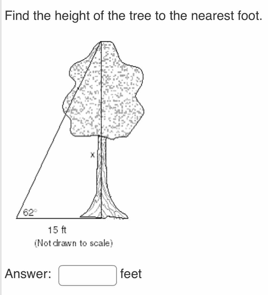 Find the height of the tree to the nearest foot.
(Not drawn to scale)
Answer: □ feet