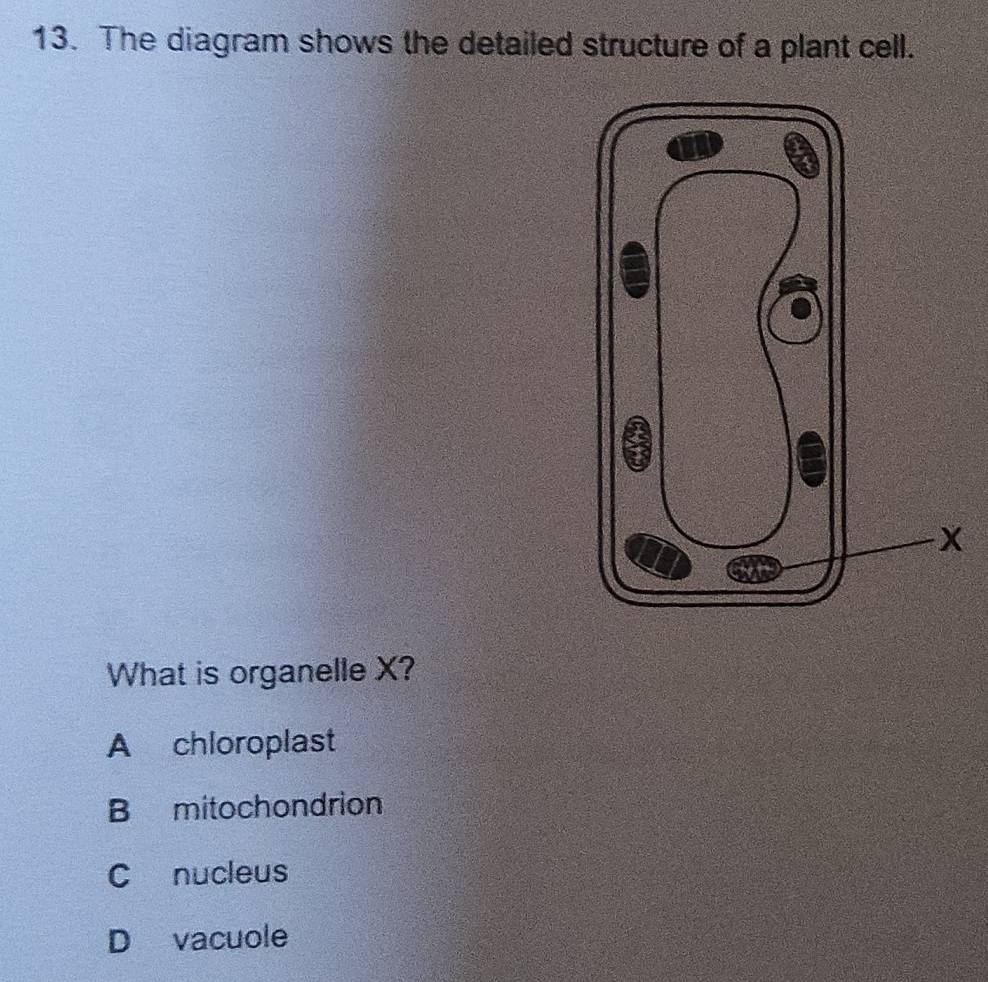 The diagram shows the detailed structure of a plant cell.
What is organelle X?
A chloroplast
B mitochondrion
C nucleus
D vacuole