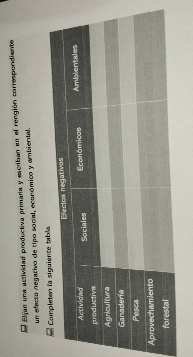 Elijan una actividad productiva primaria y escriban en el renglón correspondiente 
un efecto negativo de tipo social, económico y ambiental.