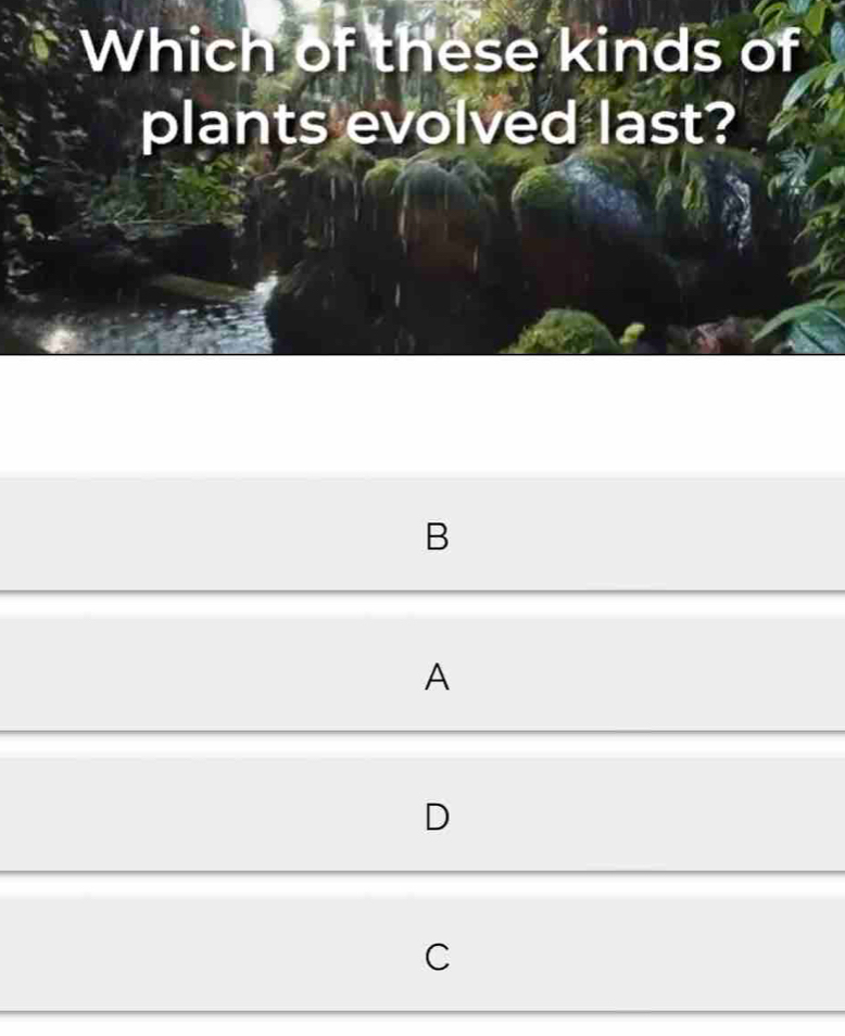 Which of these kinds of
plants evolved last?
B
A
D
C