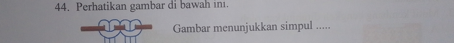 Perhatikan gambar di bawah ini. 
Gambar menunjukkan simpul .....