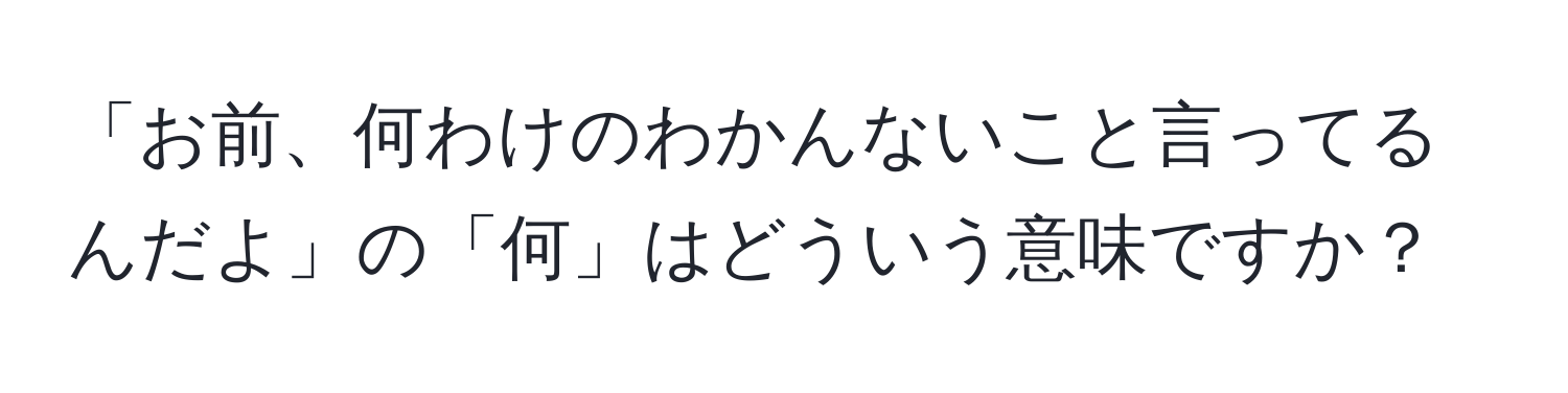 「お前、何わけのわかんないこと言ってるんだよ」の「何」はどういう意味ですか？