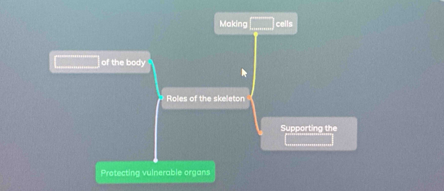 Making cells 
of the body 
Roles of the skeleton 
Supporting the 
Protecting vulnerable organs