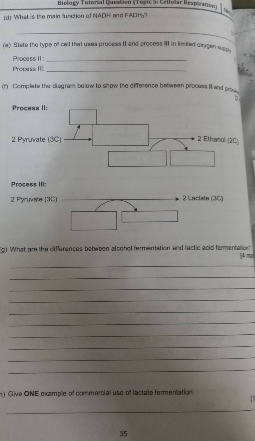 Biology Tutorial Question (Topic 5: Cellular Respiration) 
SB 
(d) What is the main function of NADH and FADH₂? 
_ 
(e) State the type of cell that uses process II and process III in limited oxygen supply 
Process II :_ 
Process III:_ 
(f) Complete the diagram below to show the difference between process II and proo 
12 
Process III: 
2 Pyruvate (3C) _2 Lactate (3C) 
(g) What are the differences between alcohol fermentation and lactic acid fermentation? 
[4 mai 
_ 
_ 
_ 
_ 
_ 
_ 
_ 
_ 
_ 
_ 
n) Give ONE example of commercial use of lactate fermentation. 
[1 
_ 
35