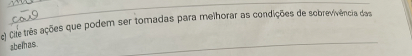 Cite três ações que podem ser tomadas para melhorar as condições de sobrevivência das 
abelhas. 
_ 
_ 
_